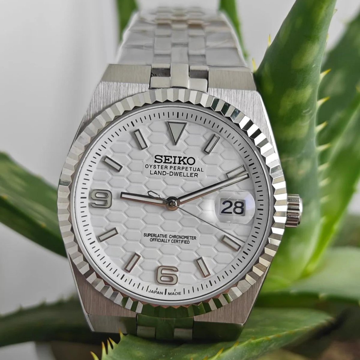 Seiko Mod Land - Dweller "White" Watch - Somerville Watch Co. - Land - Dweller - White